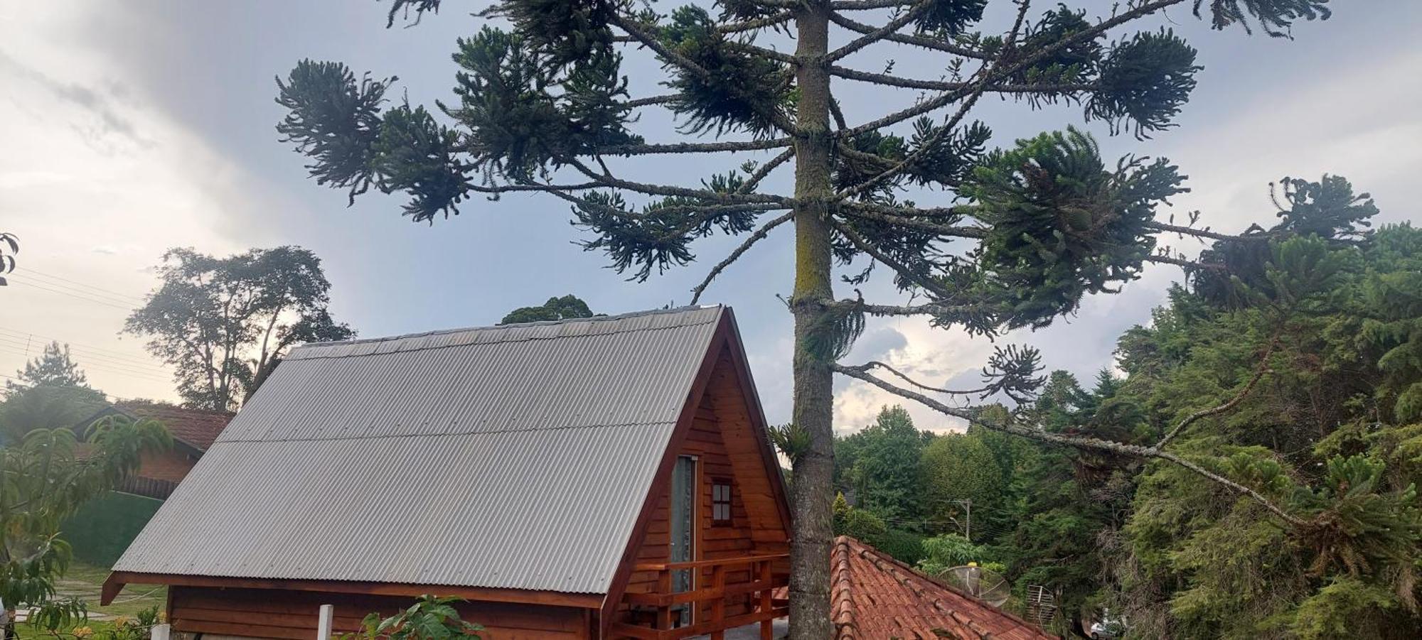 Chale Com Hidromassagem Da Vick Hotell Campos do Jordão Exteriör bild